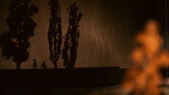 Preludes-foret-2