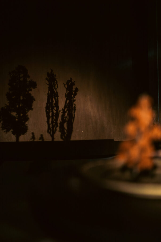 Preludes-foret-2