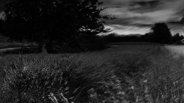 Lavande-Good-NB-Souffle-Mist