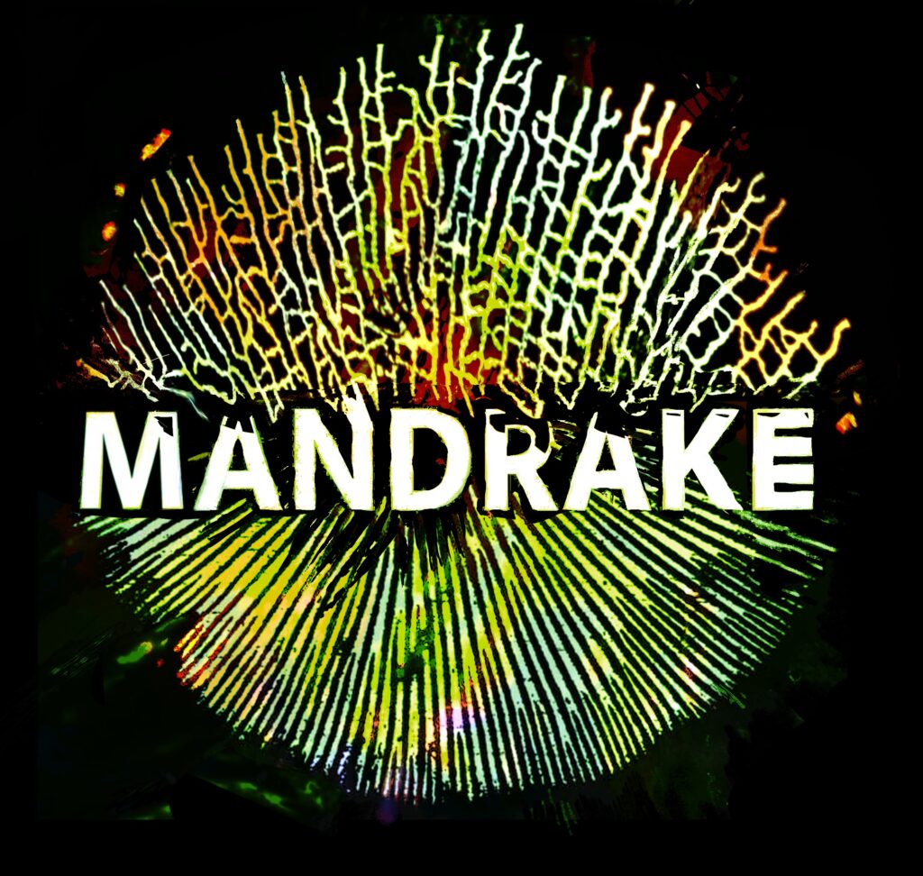 logo_mandrakeJPG