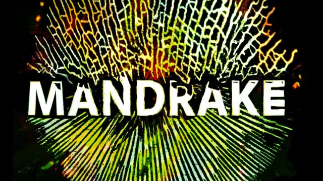 logo_mandrakeJPG