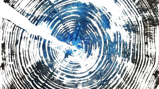 A1-A2-Tranche-Cedre-st-jean-bleu-noir1