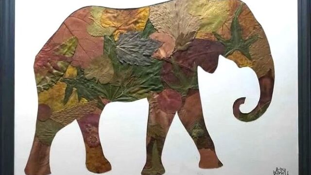 elephant